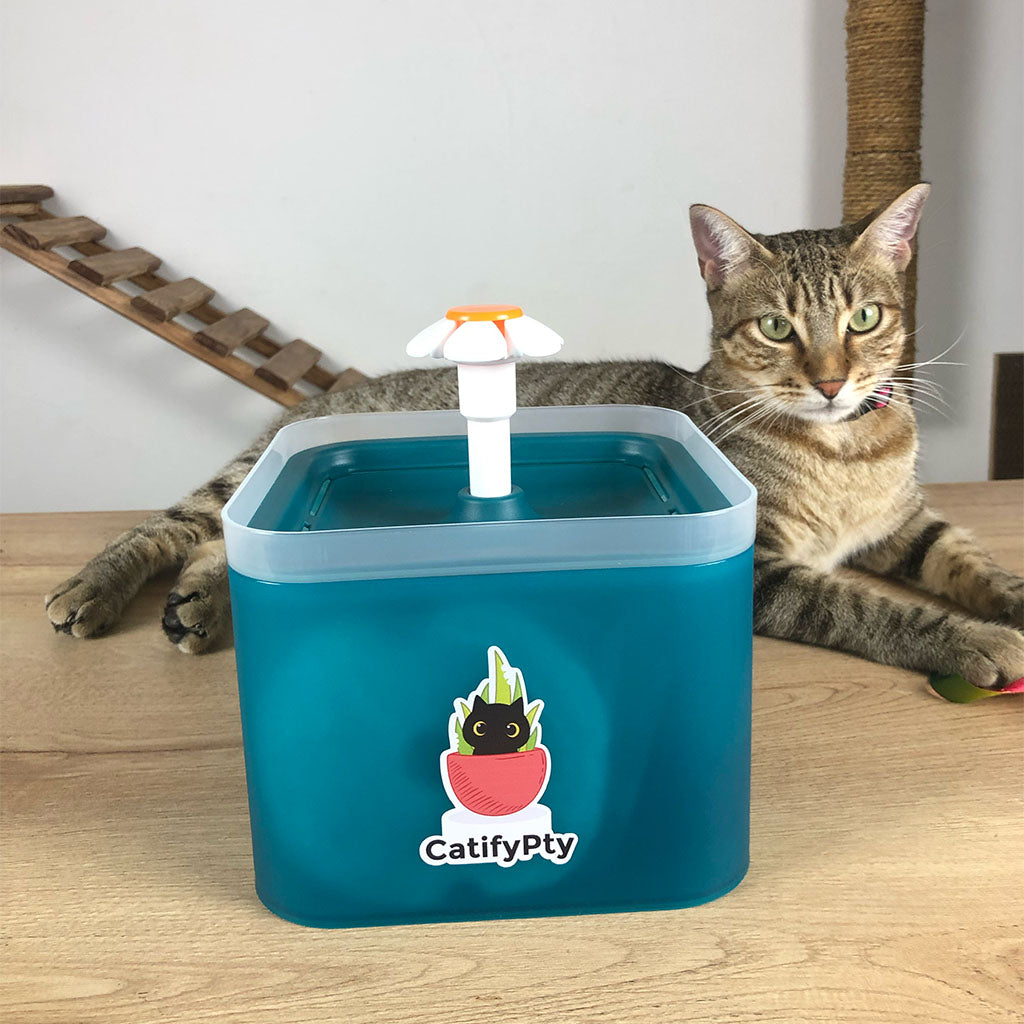 Fuente de agua de colores para Gato 2L - Catifypty